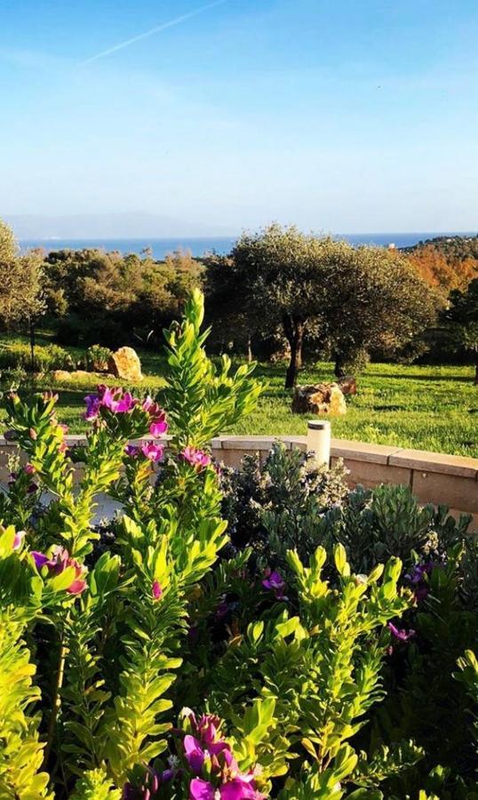 Cala Azul Residence B&B Alghero Exterior photo